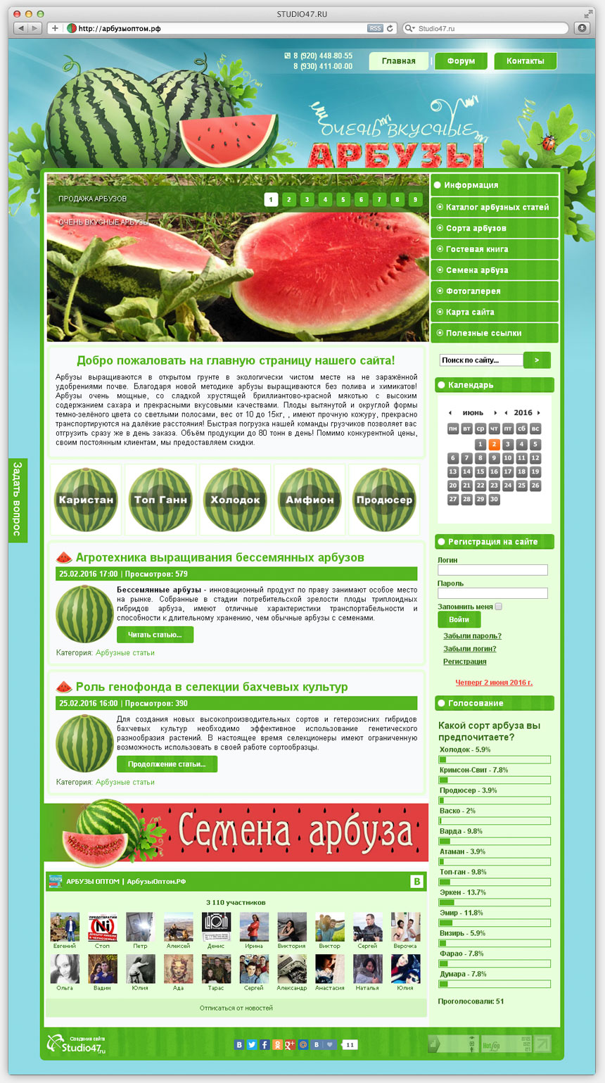 Сайт по продаже арбузов оптом с поля