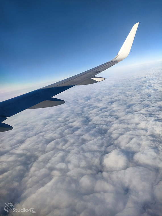 Вид из иллюминатора самолета на крыло