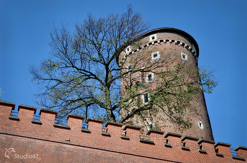 Сандомирская башня Кракова в Польше
