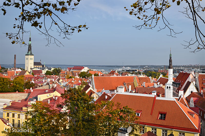 Смотровая площадка Кохтуотса в Таллине
